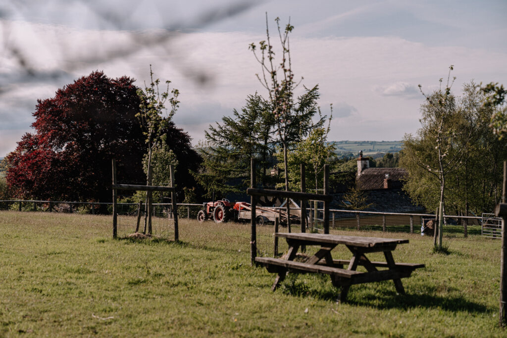 The Nest @ Down Farm